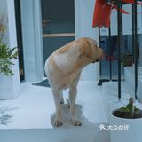 深圳探店 | 免费拍照的宝藏圣诞系咖啡店