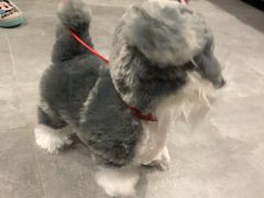 -TOYSRUS玩具反斗城(苏州中心店)