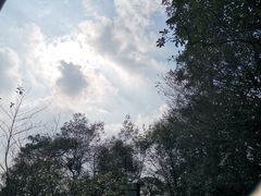 -缙云山景区