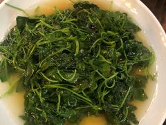 -双塔老饭店