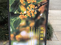 -西安大兴善寺
