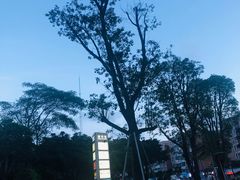 -满记甜品(富华里店)