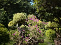 -曼听御花园