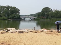 -大兴滨河森林公园