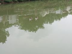 -南丹山森林王国