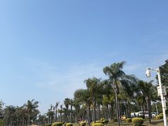 -椰风寨