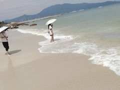 -杨梅坑