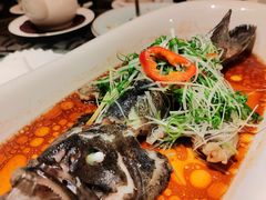 -桃源春晓中餐厅 TaoYuan Restaurant