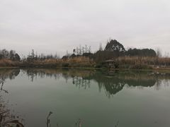 -桤木河湿地公园