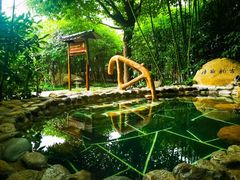 -观唐（国际）度假村温泉