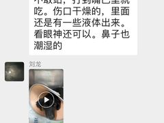 -康成宠物医院24H·CT·核磁共振