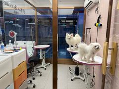 -FAELING PETS美天灵宠物(富力广场店)