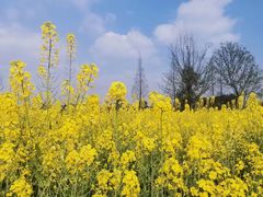 -中国天府农业博览园