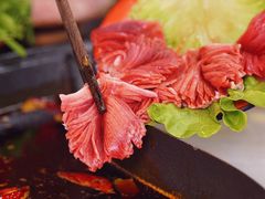 -谭记重庆老火锅(总店)