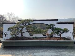-杭州植物园