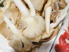 -古乐牛香·鲜牛肉牛杂火锅(吴江三里桥运东商业广场店)