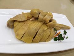 白斩鸡-金时代顺风大酒店(协泰店)