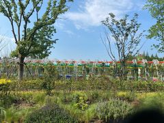 -东平国家森林公园