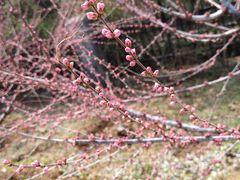 -泰山风景名胜区-虎山公园