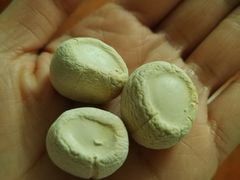 -二斗栗子(黄河道店)