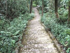 -大屏嶂森林公园