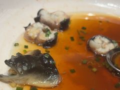 -同庆楼(滨湖万达广场店)