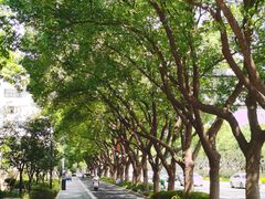 -昆山城市公园