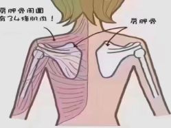-天姿美容·美体科技SPA·艾姿美店