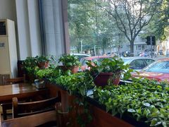 -五谷粮煎饼卷大葱(景星店)