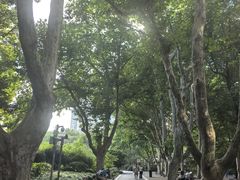 -人民公园-相亲角