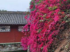 -乐山大佛风景名胜区乌尤寺南门-售票点