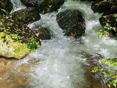 -五女峰国家森林公园