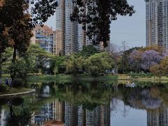 -晓港公园