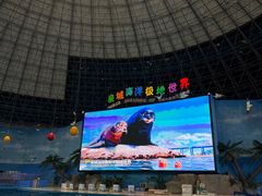 -泉城欧乐堡海洋极地世界