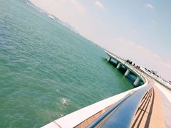 -演武大桥观景平台