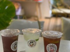 -Husky Go! 哈士奇体验馆·宠物咖啡厅狗咖