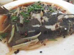 清蒸多宝鱼-宁悦海鲜家常菜馆(北戴河老虎石店)