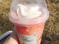 芝芝莓莓-喜茶(北京五棵松华熙店)