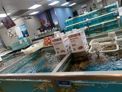 -盒马鲜生(大成店)