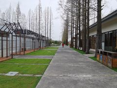 -前小桔亲子创意农场·草莓采摘·露营烧烤