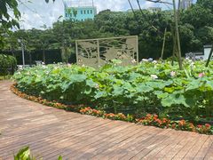 -龙环葡韵住宅式博物馆