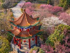 -开福禅寺