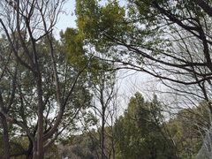 -合肥野生动物园