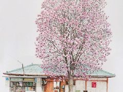 -八哥美术·成人美术画室(总校区)