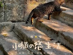 -南山植物园