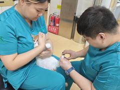 -瑞派天宁宠物医院·猫科·异宠中心