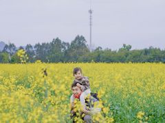 -光明小镇欢乐田园