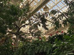 -正佳雨林生态植物园