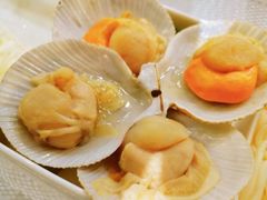 -肥佬大椰子鸡(三里屯3·3大厦店)