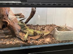 -Zoolung Zoolung动物主题公园(海信广场店)